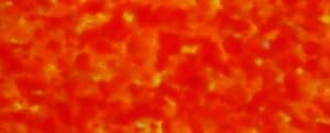 Plaque acétate écaille orange M3055